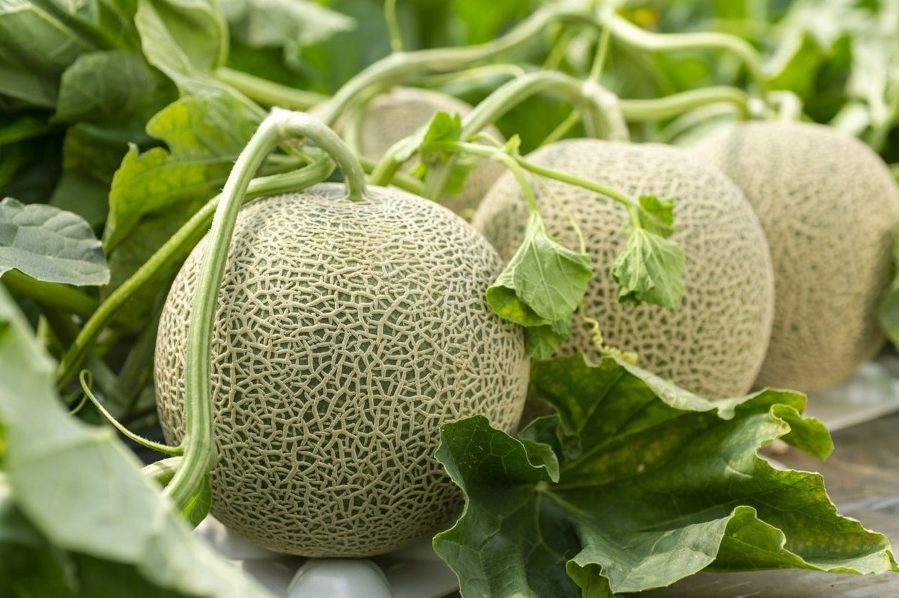 298909a6-2a3d-49bb-9a85-