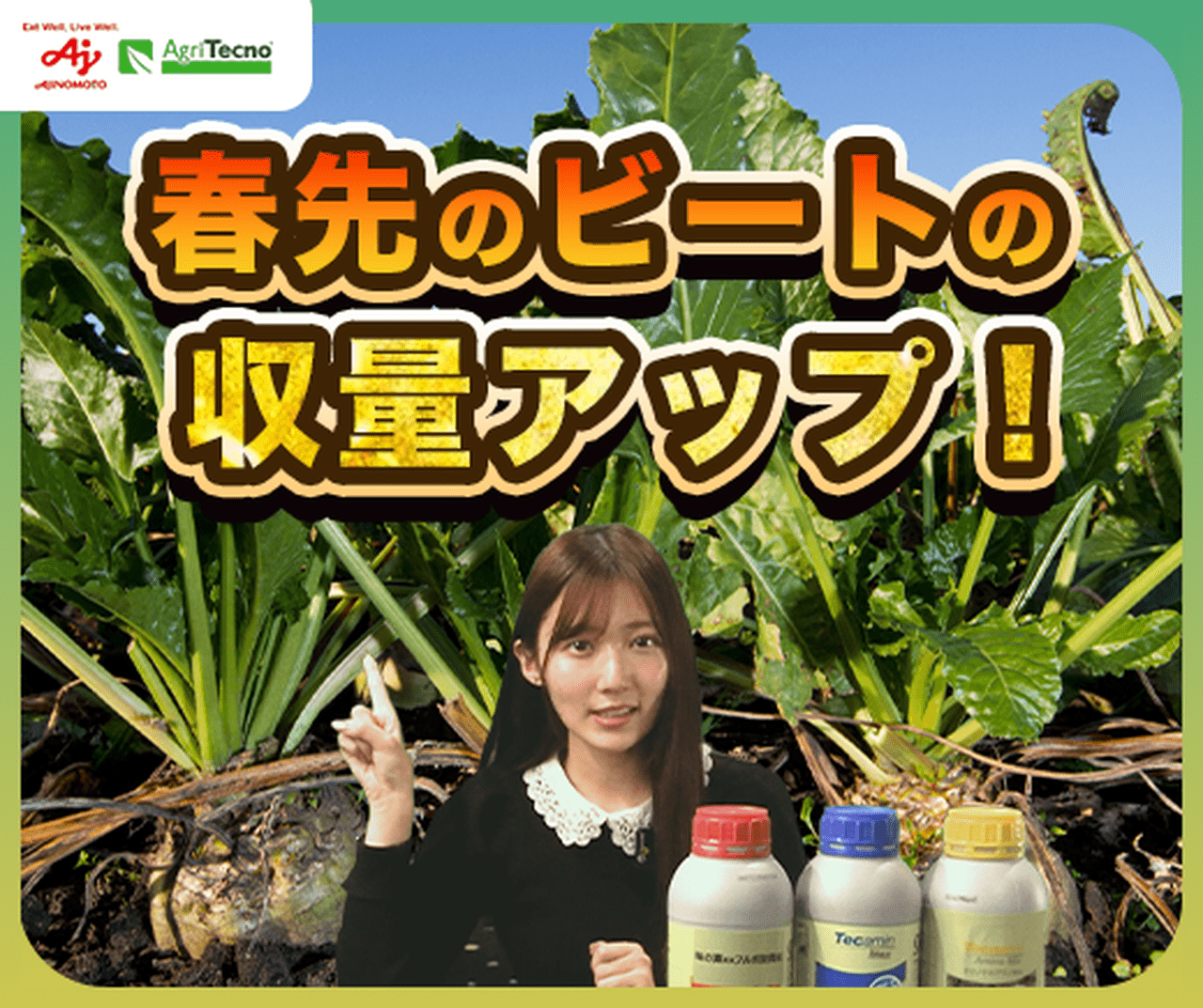 春にビートの収量をUPさせる3つのポイントと最適な資材活用法！