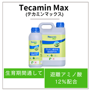 Tecamin Max(テカミンマックス)