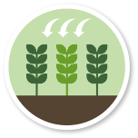 穀物のアイコン