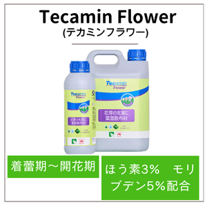 Tecamin Flower(テカミンフラワー)