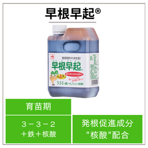 早根早起®