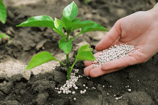 化成肥料とは？効果的な使い方とプロ農家向けおすすめ肥料を紹介