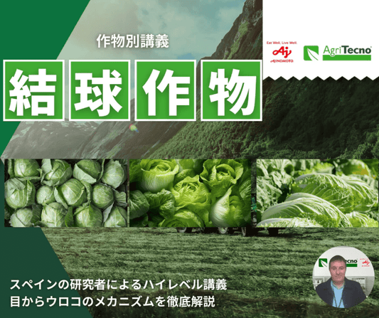 【科学的/徹底解説】結球作物へのバイオスティミュラント施用