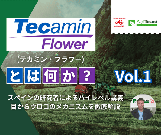 花芽の充実と果実の質を高めるテカミンフラワーの科学 Vol.1（全3回）