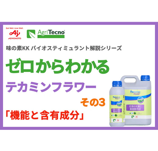 ゼロからわかるテカミンフラワー　その3（全4回）