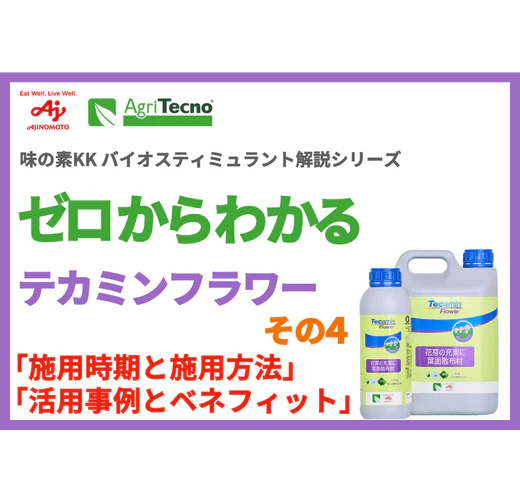 ゼロからわかるテカミンフラワー　その4（全4回）
