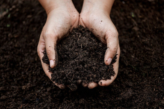 有機肥料の特徴やメリット、おすすめ資材について