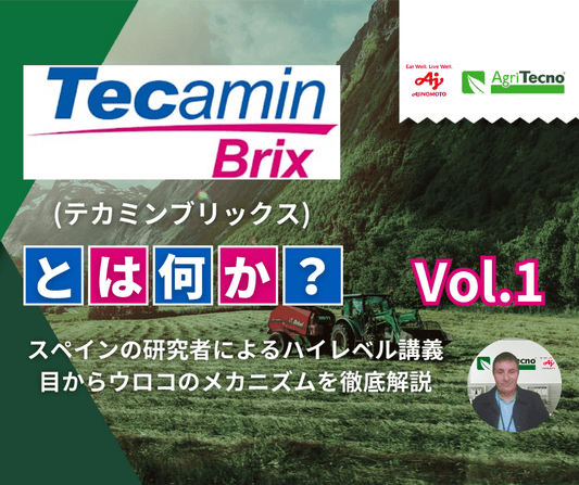 植物の⽣産性を⾼める秘訣：テカミンブリックスの科学 Vol.1（全３回）