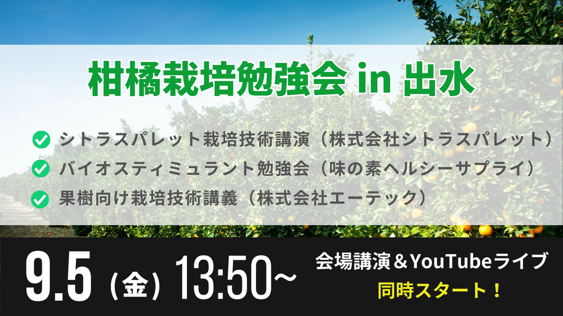 【締切迫る！】9/5 柑橘栽培勉強会 in 出水 に登壇します！