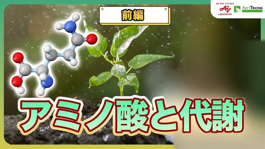 【基礎知識】代謝とアミノ酸 ― 植物を「エンジン」として理解する（前編）