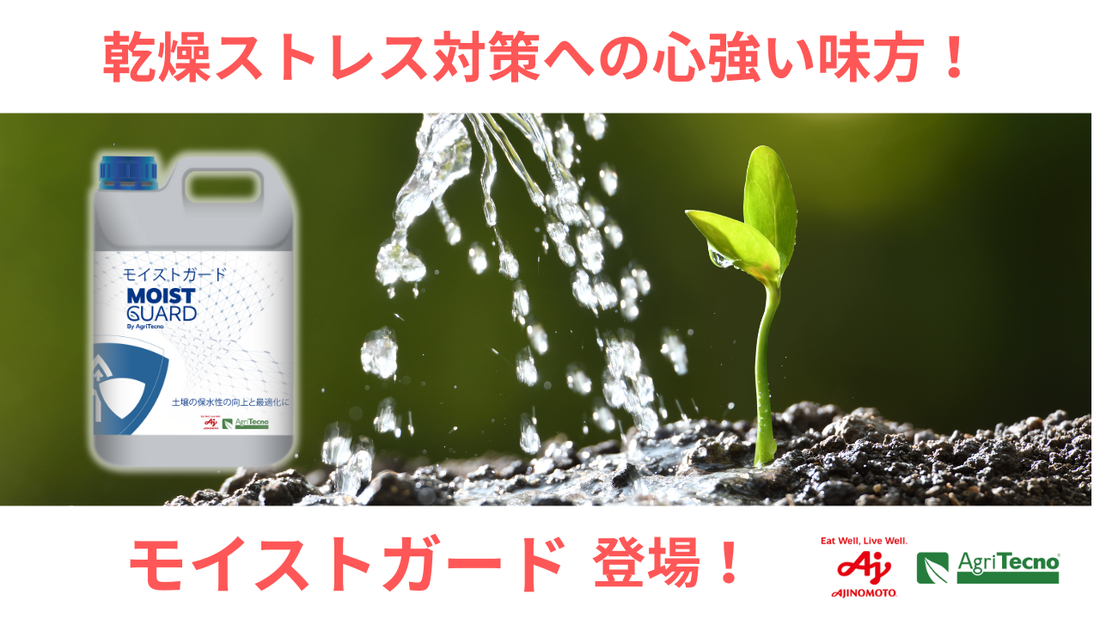【新商品 モイストガード】待望の土壌保水材が登場！！