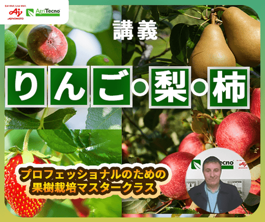 【徹底解説講義】りんご・梨・柿（ナシ状果）の成長プロセス！知っておくべき生理障害と解決法とは？隔年結果のメカニズムも解説！