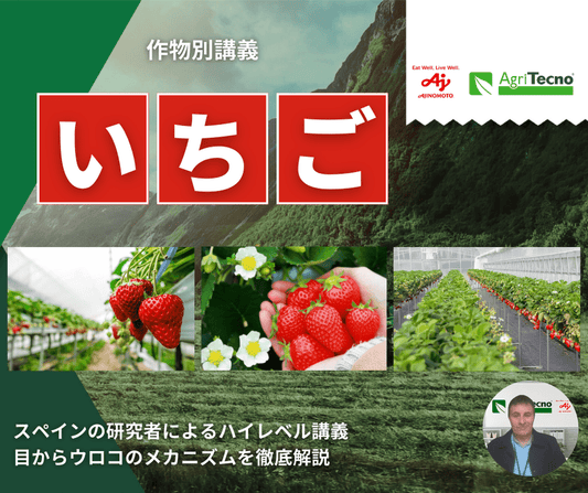 【科学的/徹底解説】いちごへのバイオスティミュラント施用