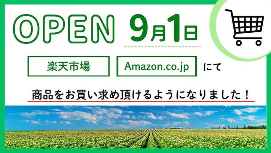 【楽天市場・Amazon.co.jp 販売スタート！】