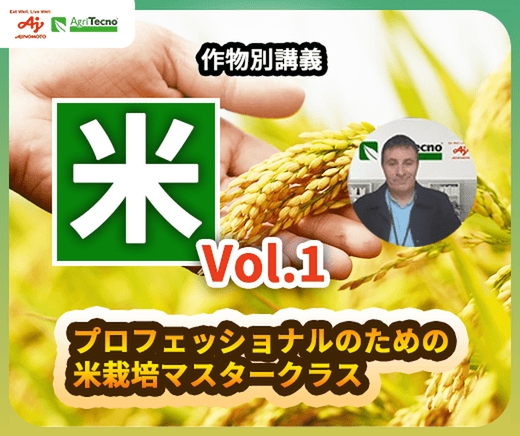 【徹底解説講座】米・水稲・最大収量を決めるポイントとタイミングとは？米農家が知るべき必須知識とは？