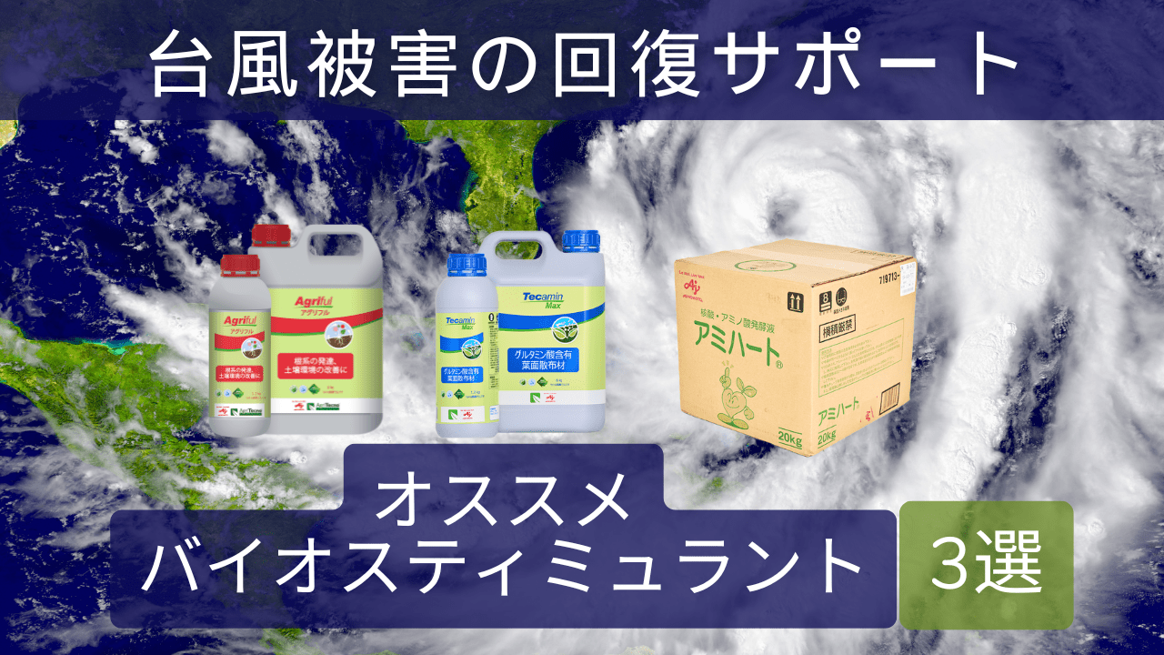 台風被害の回復サポートにオススメバイオスティミュラント3選