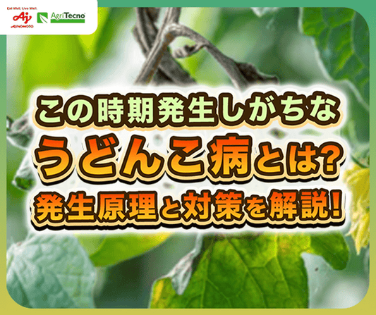 うどんこ病の発生原因と再発防止の決定版！