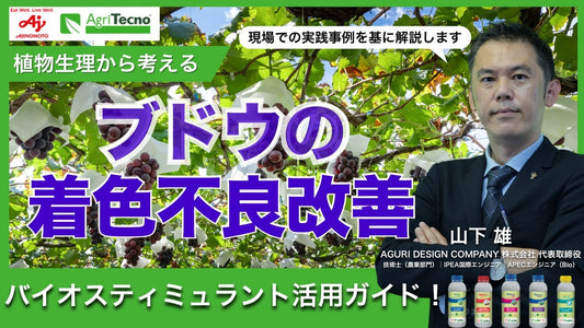 ブドウの着色不良の原因と改善方法｜カルシウムとバイオスティミュラントの使い方
