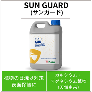 SUN GUARD(サンガード)